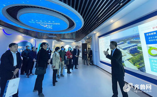 全国专家共聚德州，共话高端非织造布创新应用与纺织品研发新篇章