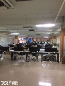 独院5000平米厂办标准研发楼出租——专注纺织品研发的理想场所